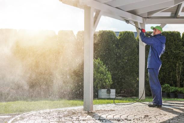 Best Gutter Cleaning and Brightening in Clarkdale, AZ